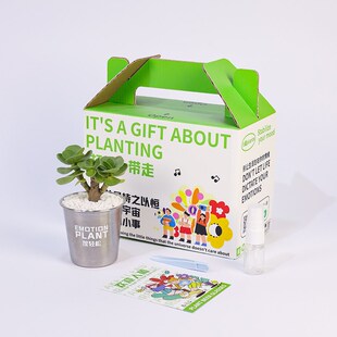 热销入植金钱木多肉植物办公室桌面创意迷你摆件小花盆栽带盆礼物