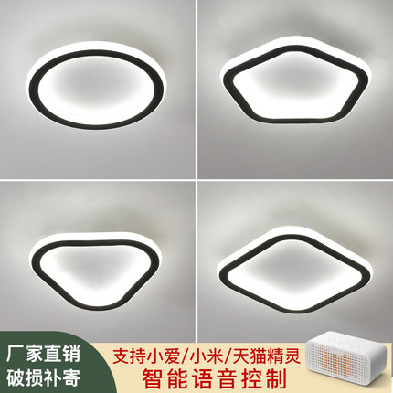 北欧超薄LED灯具简约现代走廊过道衣帽间入户玄关楼梯网红吸顶灯