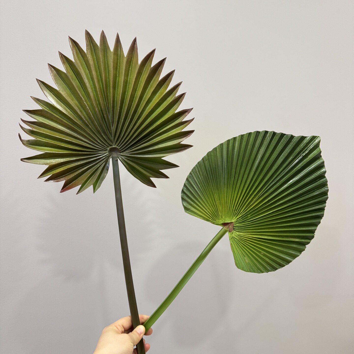仿真花芭蕉叶棕榈叶仿真植物插花配叶葵叶绿色家居装饰蒲叶婚庆