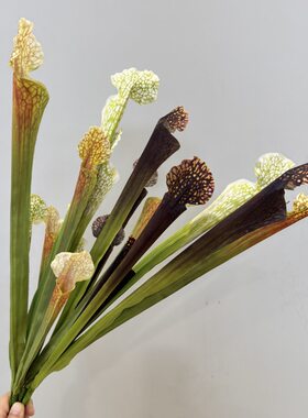 仿真花手感瓶子花装饰花食人花猪笼草假花插花花艺花材摄影道具