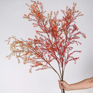 仿真单枝千层金迷迭香假花天门冬黄金香柳装饰花黄金宝金柳永生