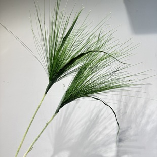 仿真草细草喷泉草乱草植物插花垂感瀑布型花艺素材水草菖蒲散沙