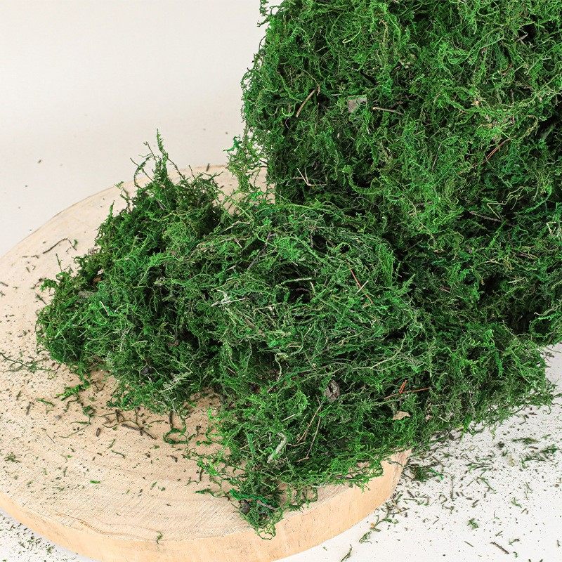 现货永生青苔苔藓仿真石头鱼缸造景石人造微景观植场景布置,鲜花速递/花卉仿真/绿植园艺,仿真绿植,淘宝优惠券,粉丝福利购,淘宝优惠卷