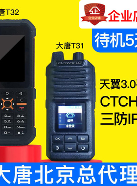 DATANG大唐T33,T32,T31.T30天翼4G全国对讲机电信5g手台5000公里