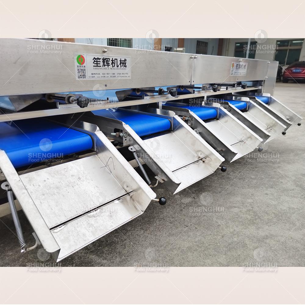 广辉东笙帮家供水果滚杠分应选机蕃茄红枣桔子柠檬分级设备FXJ-4