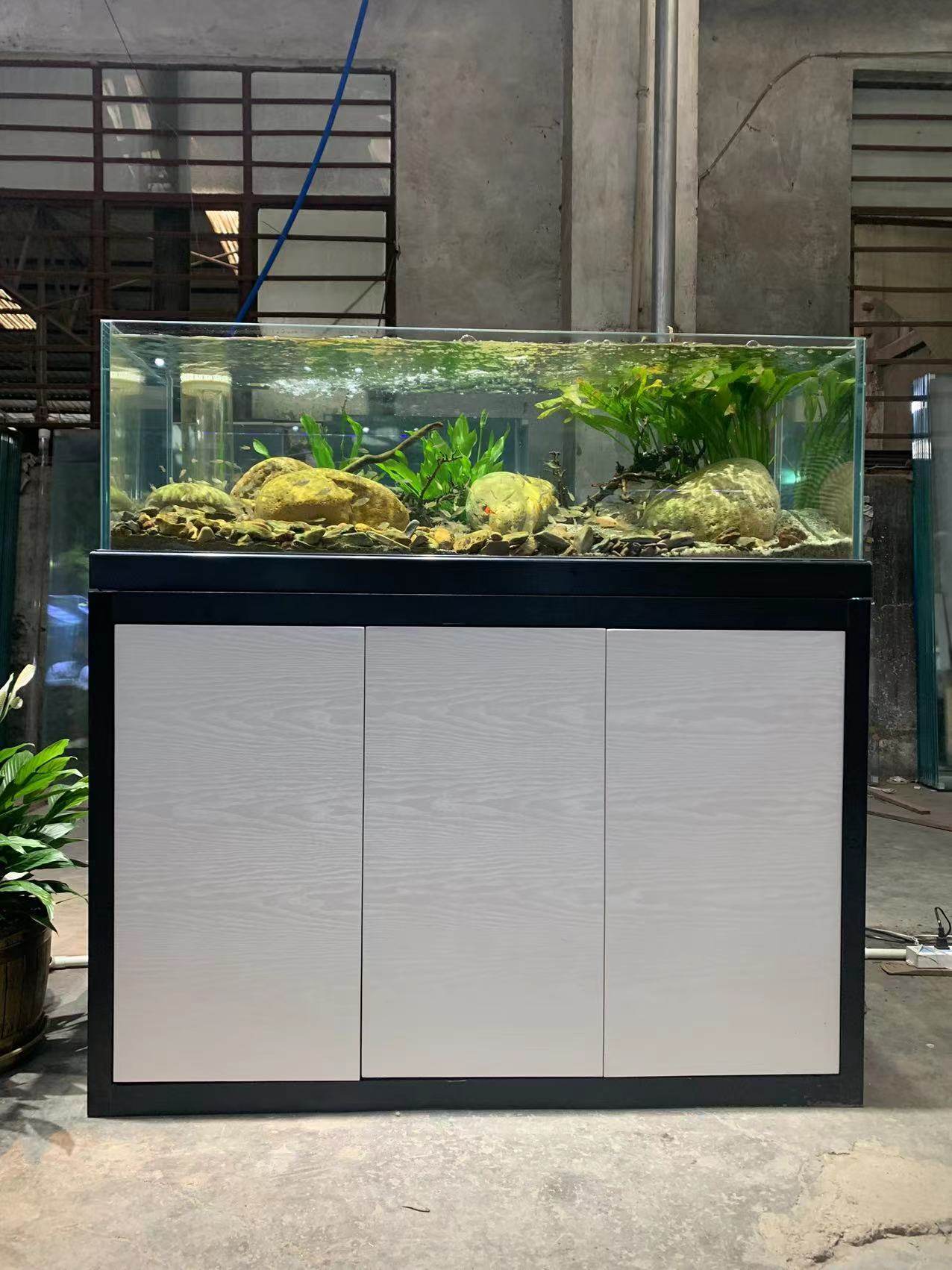 底滤鱼缸兰寿缸超白金鱼缸家用客厅鱼缸造景生态水草溪流缸不含灯