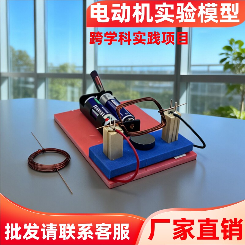 简易直流电动机材料包实验器材图片