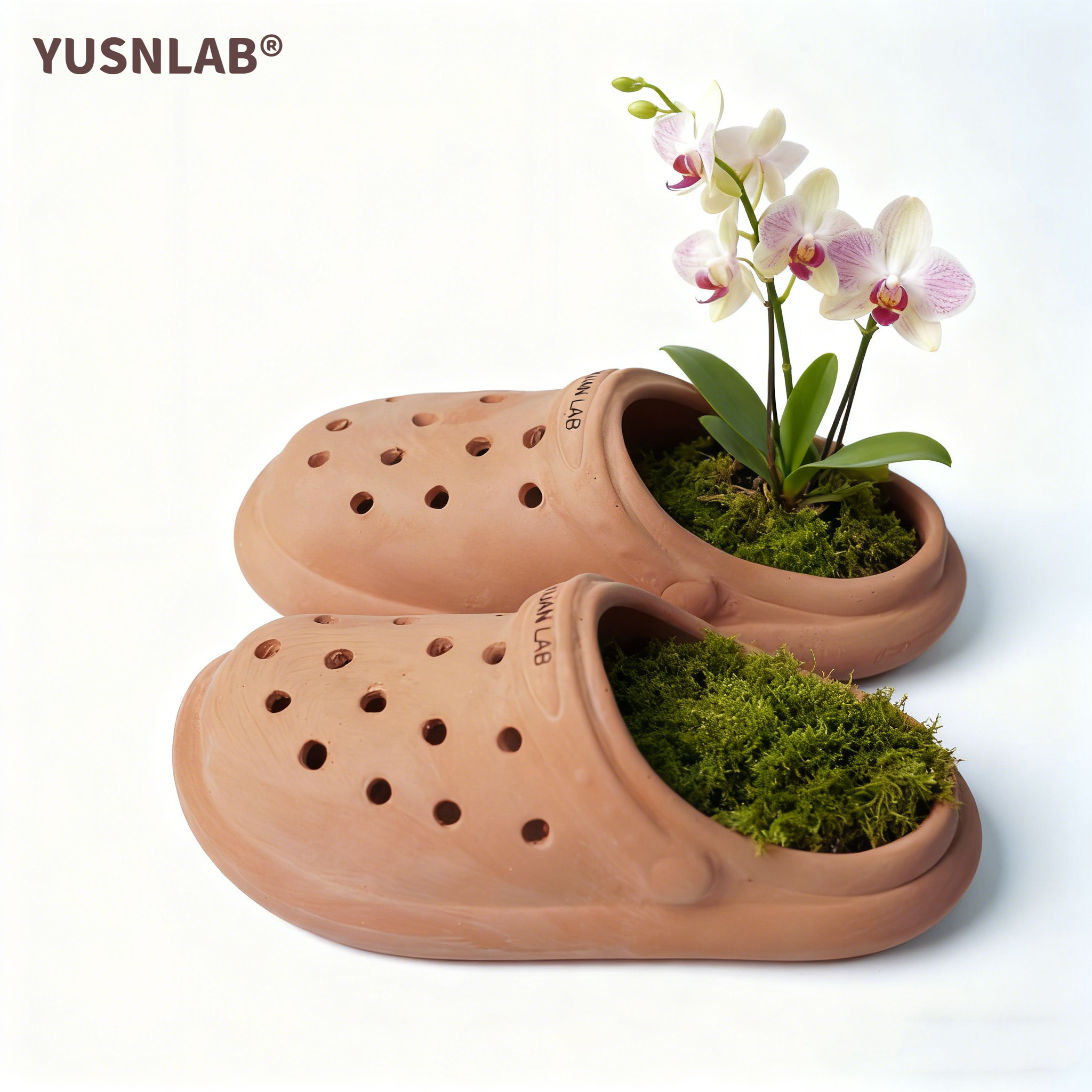 壁挂花盆蝴蝶兰多肉红陶盆垂吊板植鹿角蕨石斛花盆透气陶瓷空气凤