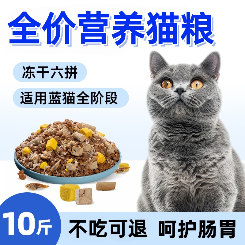 海洋鱼味成幼猫食特价流浪猫增肥