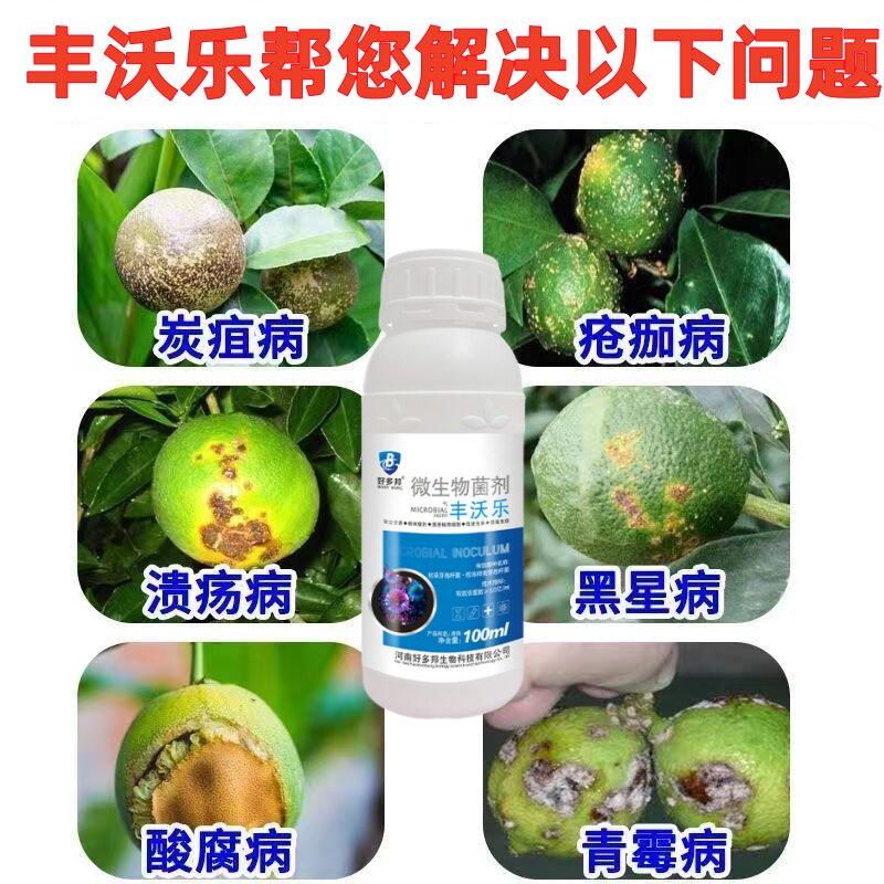 柠檬树叶子发黄叶掉叶卷叶斑病专用药骨粉肥料枯枝杀菌病害营养液