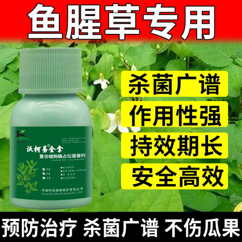 鱼腥草病害专用杀菌剂折耳根病全治折耳根白绢茎腐紫斑根瘤病通用