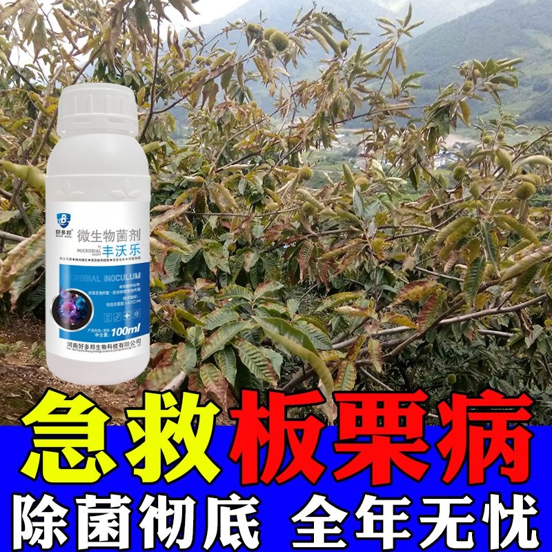 板栗专用药板栗黄化病黄叶卷叶病一喷灵补充营养快速转绿液体肥