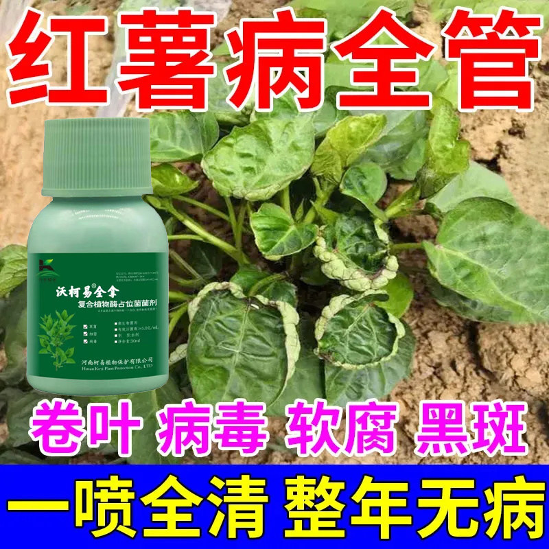 红薯病毒病专用肥甘薯地瓜黄叶病卷叶小叶皱缩干枯展叶剂增产肥料