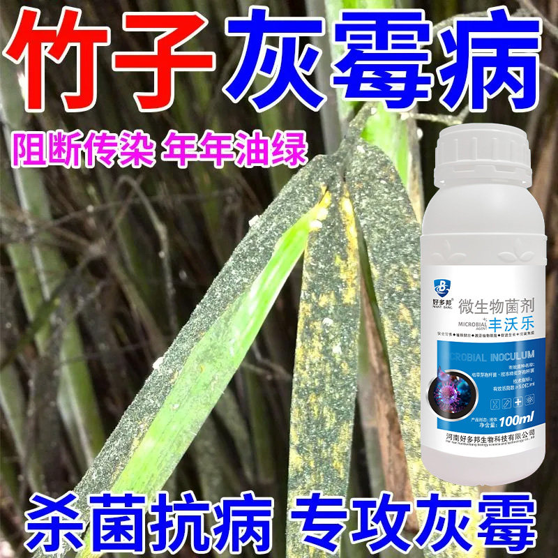 竹子专用药竹子病全治煤污病灰霉病丛枝病黑斑病竹锈病特效杀菌剂
