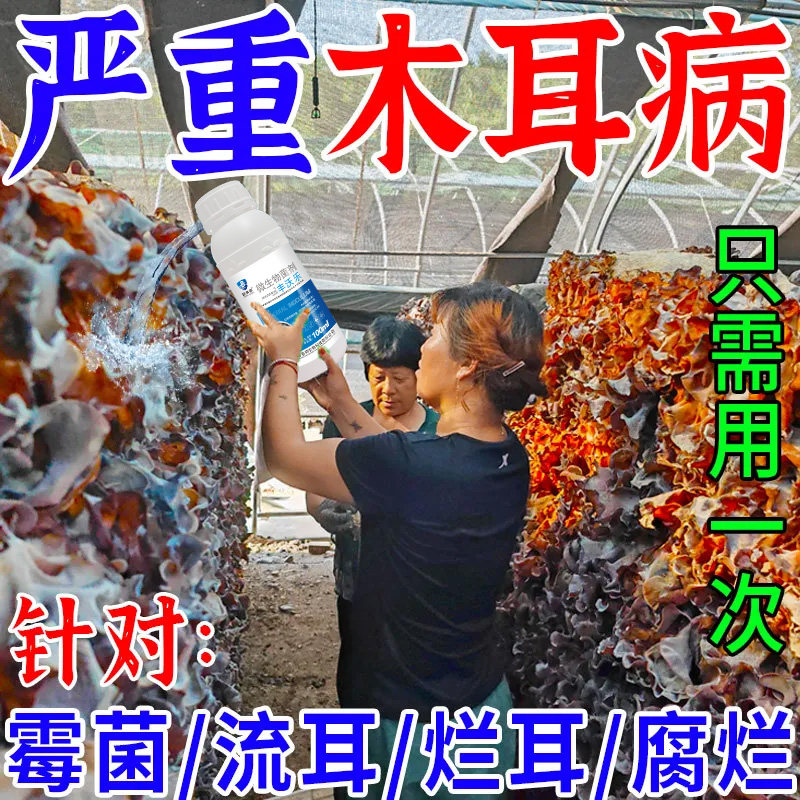木耳专用药木耳病全治曲霉病根霉病链孢霉病木霉病正品杀菌剂