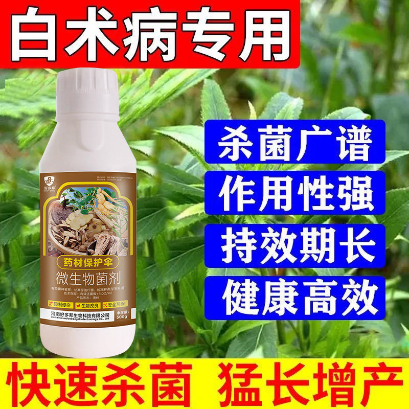 白术铁叶病白术苗白粉病叶斑病病害清病抑菌清菌剂立枯褐斑根腐病