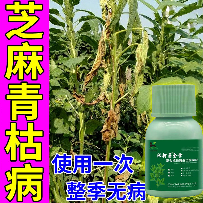 芝麻枯萎病专用芝麻病全治芝麻专用杀菌剂青枯叶斑病毒炭疽立枯病
