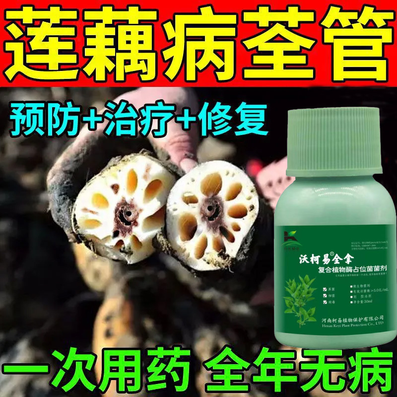 莲藕病害专用杀菌剂防叶枯病腐败病褐斑病僵藕莲藕腐烂微生物菌剂