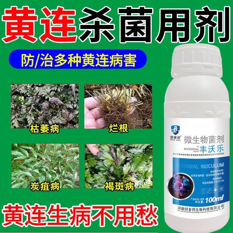 黄连病害清黄连专用药黄连病红叶黄叶黑叶死苗烂根专用微生物菌剂