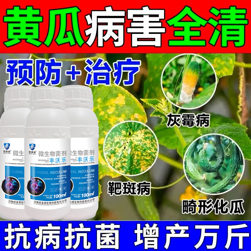 黄瓜叶黄斑病霜霉病白粉枯靶斑药拉直长黄瓜病害清专用叶面肥增瓜