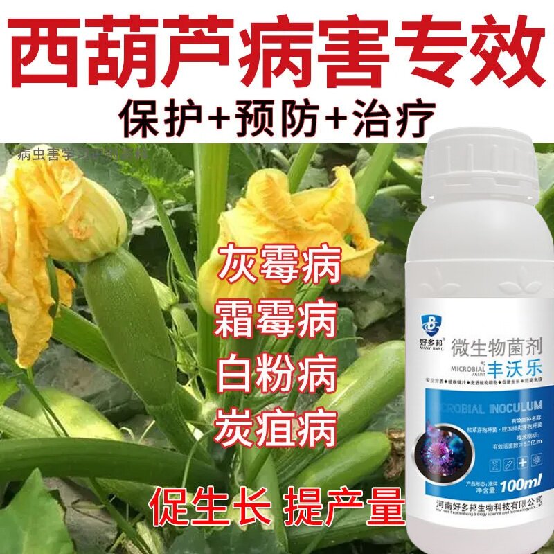西葫芦病毒病 专用药 细菌病克生物菌肥
