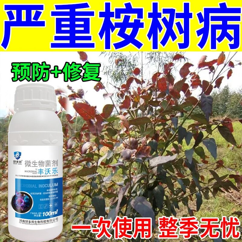 桉树枯萎病特效药桉树红叶枯梢病药桉树根腐病焦枯根腐黄叶杀菌剂