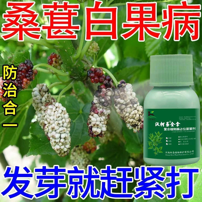 桑树病全管桑树专用杀菌剂烂头病花叶病叶枯枝腐萎缩病专用叶面肥图片