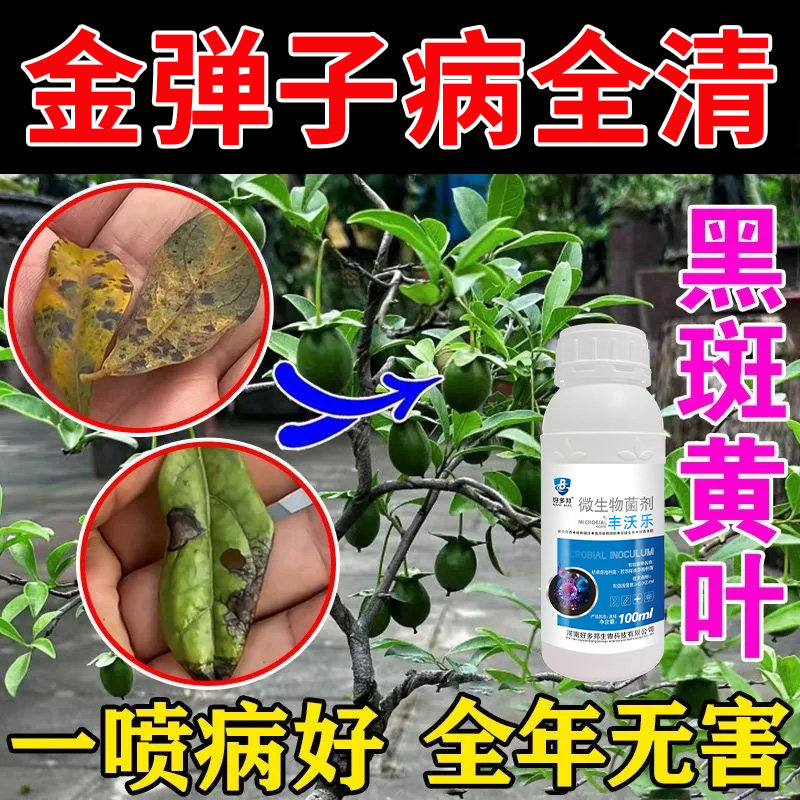 金弹子除菌液叶斑病黑斑病炭疽病灰霉病除菌抑菌防黄叶肥料菌立净