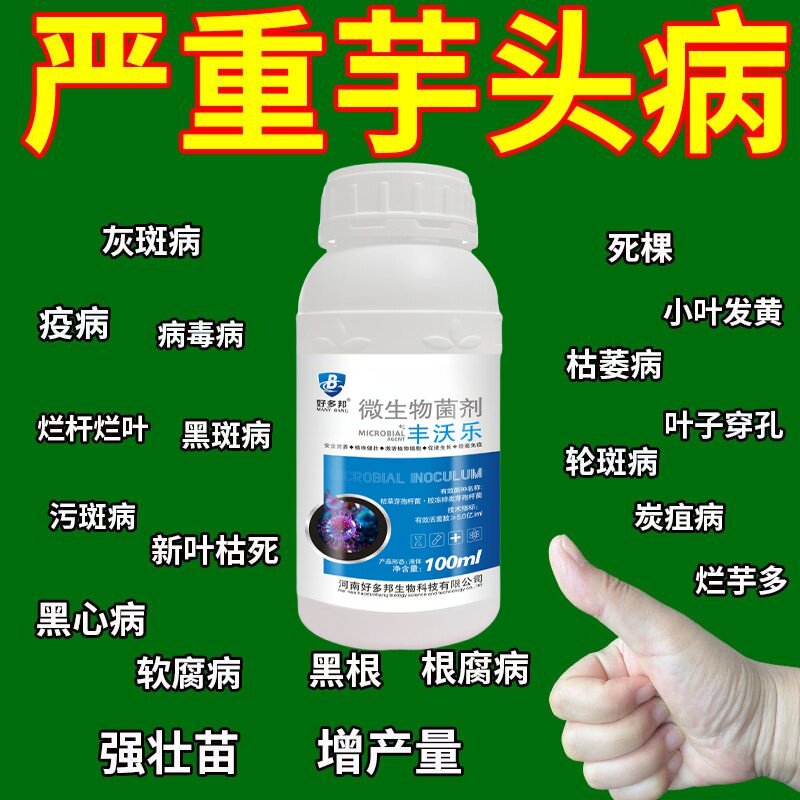 芋头病全治专用药高效杀菌剂生根膨大素芋头烂根病软腐病药铜钱病