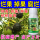 核桃树专用药病害清全管预防褐斑炭疽干腐病黑斑病黑果烂果杀菌剂