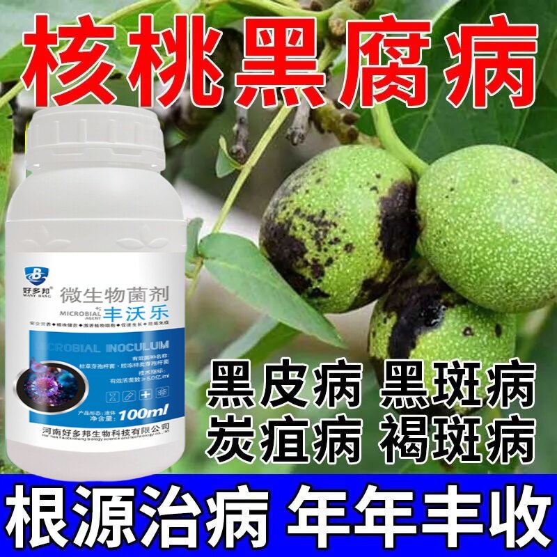 核桃树专用药炭疽黑斑褐斑树干流汁水落果专用杀菌剂核桃病一喷净