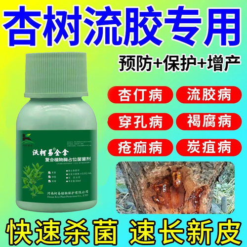 杏树穿孔病褐腐病流胶病红点病清杏树病专治杏树病害专用杏树菌剂