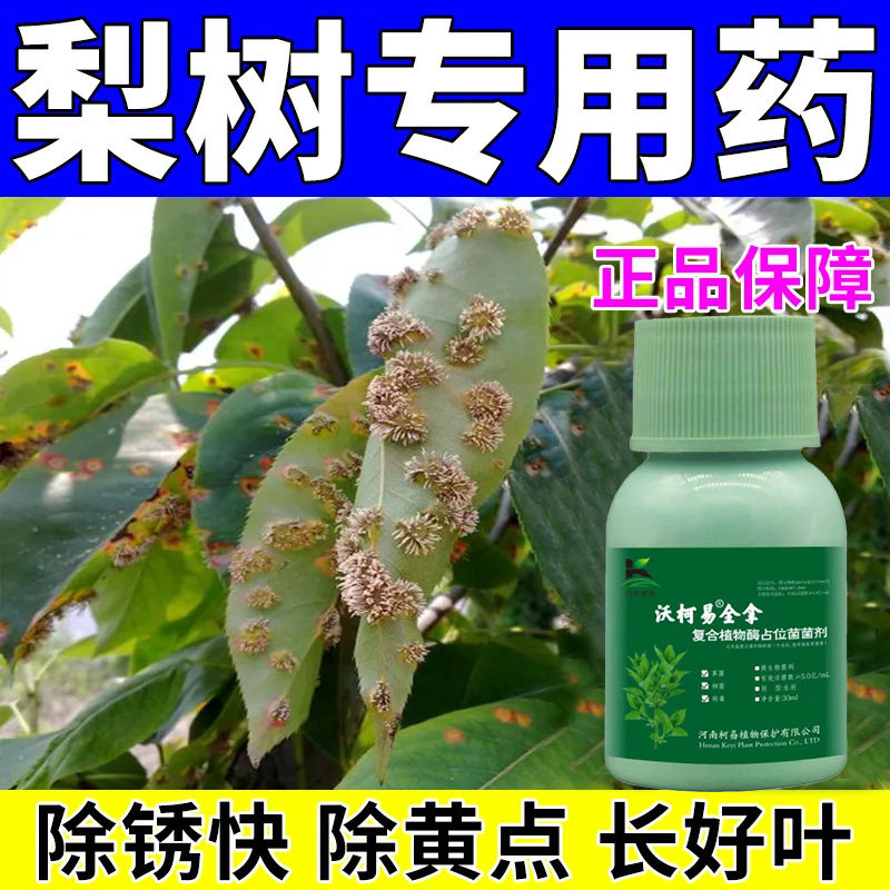 梨树专用药进口病全治梨树锈病杀菌剂白粉锈病黑星病褐斑病软腐病
