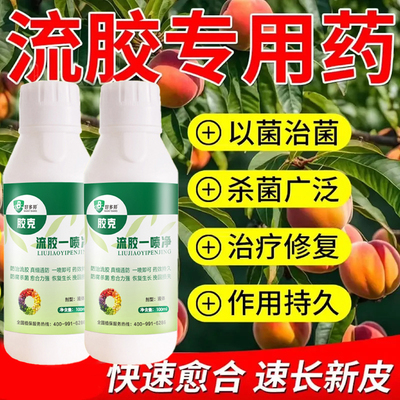 果树樱桃桃树苹果流胶病一喷净杏树柚李子疮痂病穿孔杀菌溃疡病腐