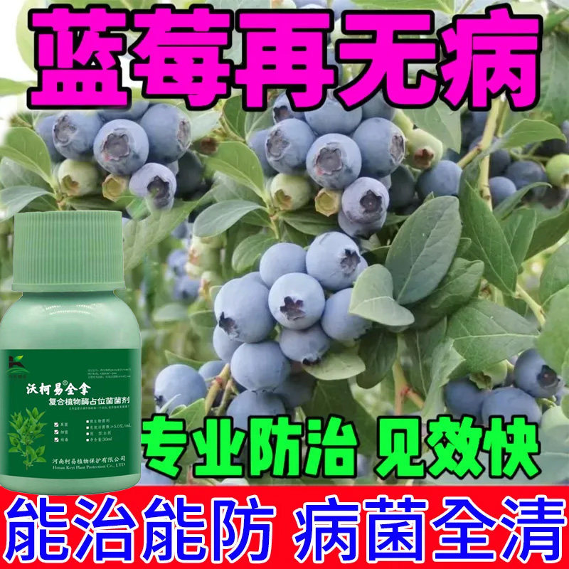 蓝莓枯枝病药蓝莓灰霉病专用药白粉病炭疽病僵果病叶斑病菌剂图片