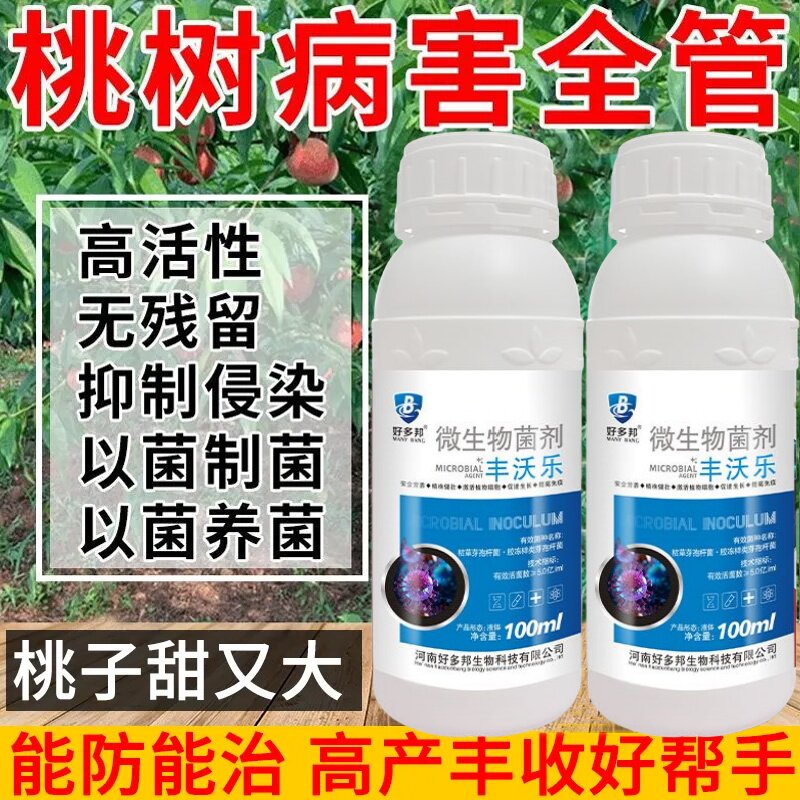 桃树病全治桃树专用药穿孔病流胶病卷叶缩叶病炭疽病褐腐病腐烂病