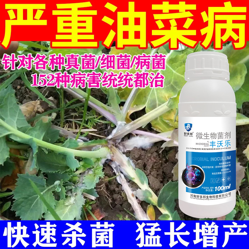 油菜专用药油菜病全治油菜菌核病黑斑霜霉病白锈病黄叶特效杀菌剂