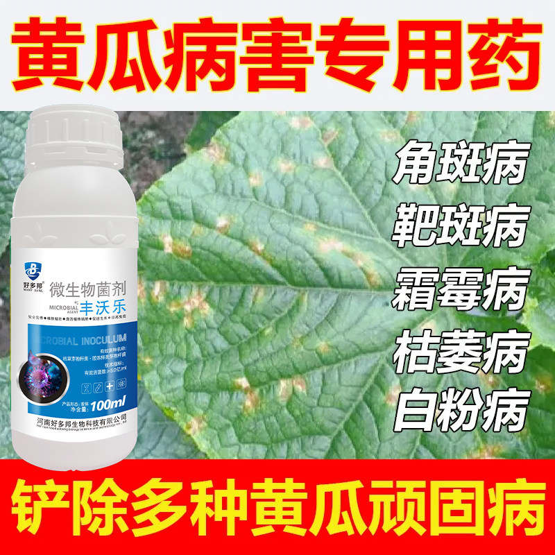 黄瓜一喷净黄瓜病全治白粉褐斑叶枯炭疽疫病靶斑病黄瓜病害专用药