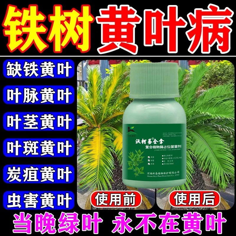铁树病害专用肥料铁树黄叶炭疽病斑点病叶枯病促芽生根微生物菌剂