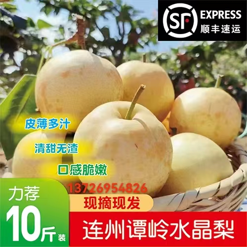 连州水晶梨潭岭梨子富硒翠冠梨黄花梨新世纪梨广东时令水果当季