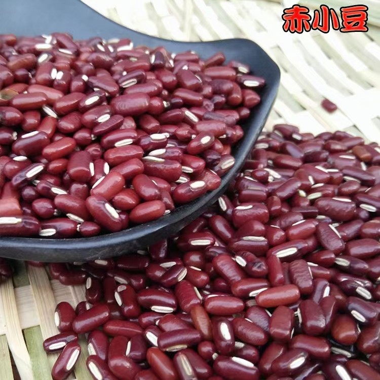 连州赤小豆农家自产非红豆五谷杂粮绿豆黑豆包粽子八宝粥原料1斤