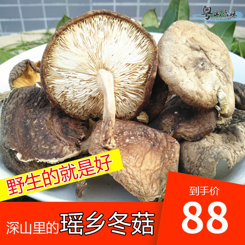香菇干香菇小香菇金钱菇蘑菇香菇干货香菇干货连州特产