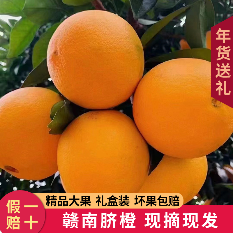 【西施姐姐推荐】江西赣南脐橙10斤整箱当季新鲜水果安远产地直发