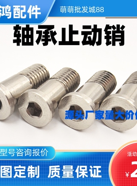 轴承止动销BGP BGPM10 12-15 16 17 18-L20 L25 L30 L40 L50 L60