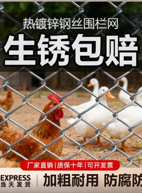 镀锌铁丝网围栏养殖网鸡羊钢丝网果菜园铁网格网勾花网隔离防护网