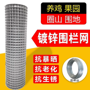 镀锌电焊网防鼠围栏铁丝网养鸡养狗家用护栏网隔离钢丝网防护网格