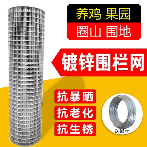 镀锌电焊网防鼠围栏铁丝网养鸡养狗家用护栏网隔离钢丝网防护网格