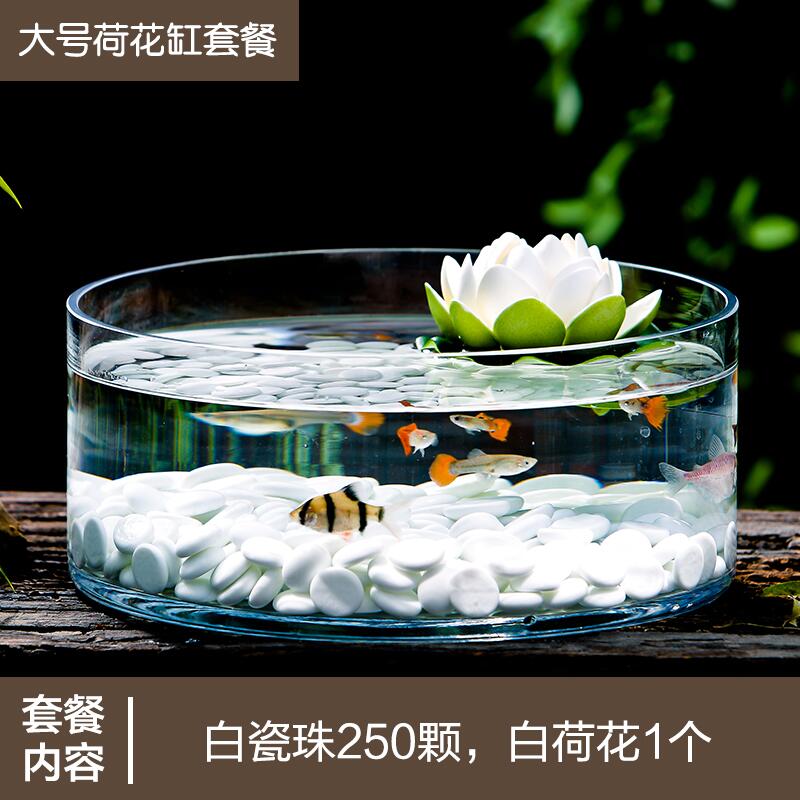 洛鲁玻璃鱼缸创意鱼缸圆形桌面懒人荷花缸乌龟缸玻璃花瓶客厅大号