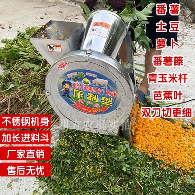 瓜果打丁机小型电动不锈钢家用萝卜水果红薯土豆切丁机颗粒养殖