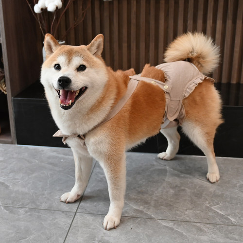 狗狗生理裤母狗女狗姨妈裤安全裤扰柴犬雪纳瑞泰迪卫生裤经期防骚